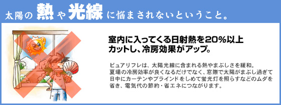 �K���X�t�B�����ŏȃG�l�΍�