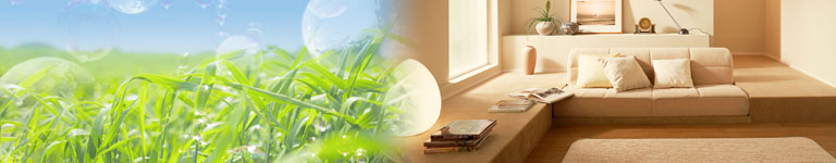 ��C�G�}�R�[�e�B���O